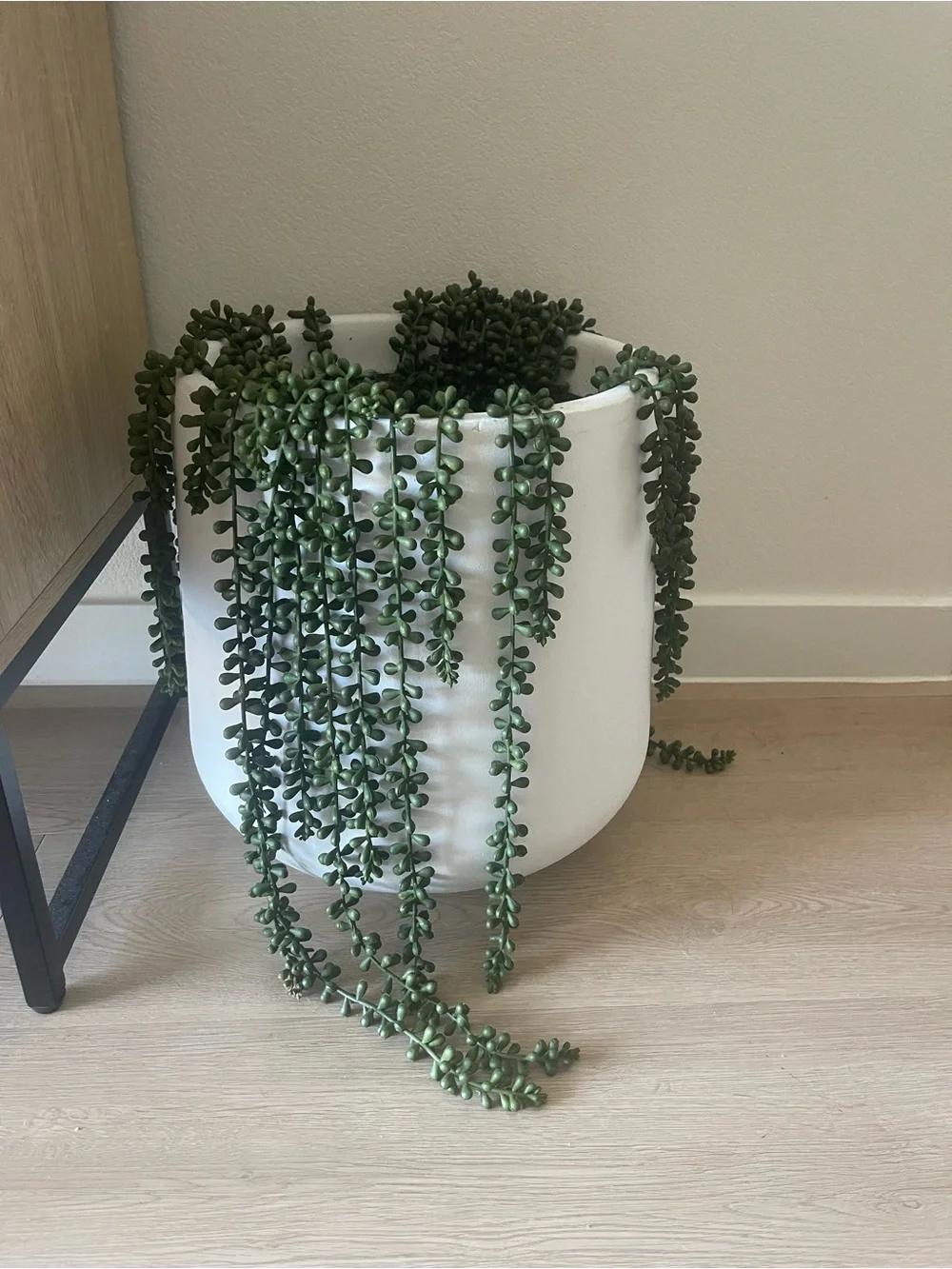 Artificial String of Pearls Succulent Hanging Plants
